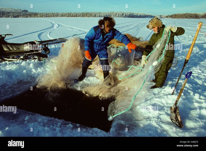 Best ice fishing live in Germany